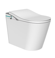 Smart Toilet WLK-01