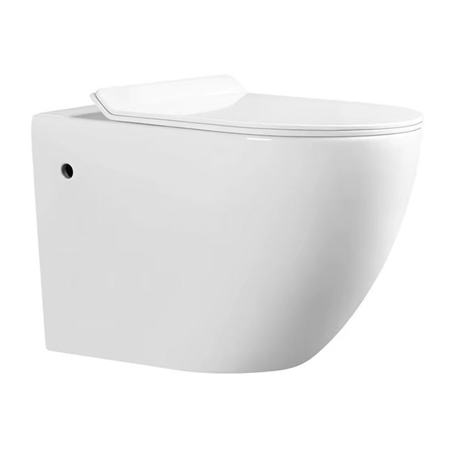 Wall-hung Toilet WLJ-09