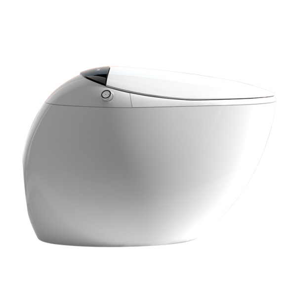 Smart Toilet - WLY-01