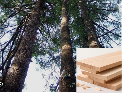 Exceptional Materials & Space-Efficient Design