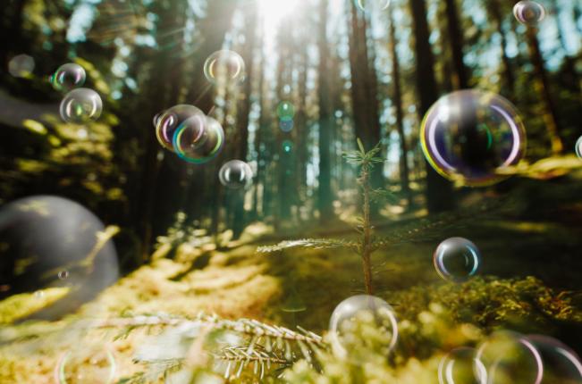 Far-infrared Sauna Room  Sauna Cube  Panoramic Sauna Room (9)