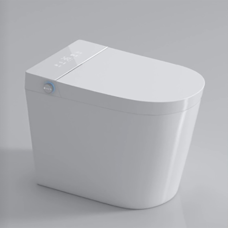 Samrt Toilet  Toilet  Smart Toilet with Warm Water Sprayer and Dryer One Piece Bidet Toilet (1)