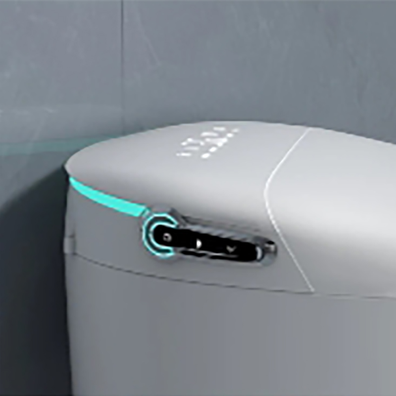 Samrt Toilet  Toilet  Smart Toilet with Warm Water Sprayer and Dryer One Piece Bidet Toilet (3)