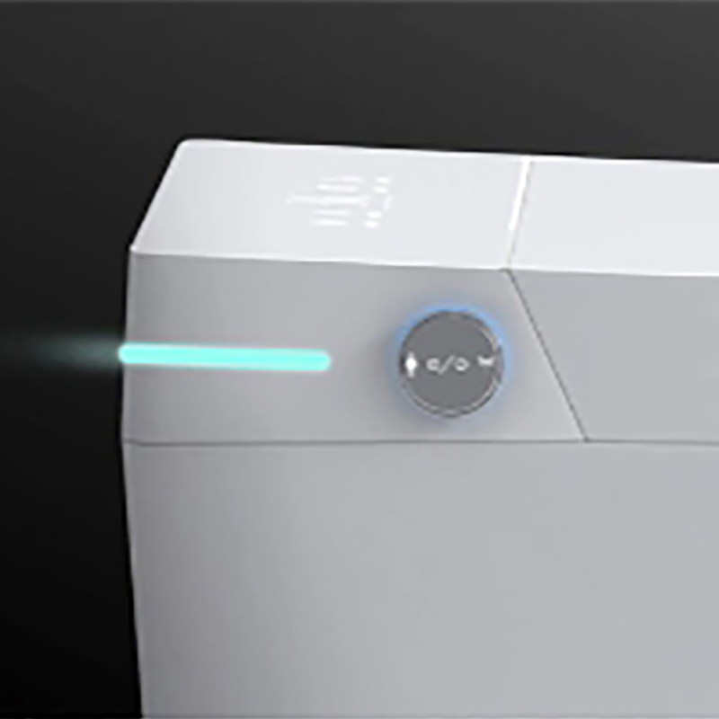 Samrt Toilet  Toilet  Smart Toilet with Warm Water Sprayer and Dryer One Piece Bidet Toilet (3)