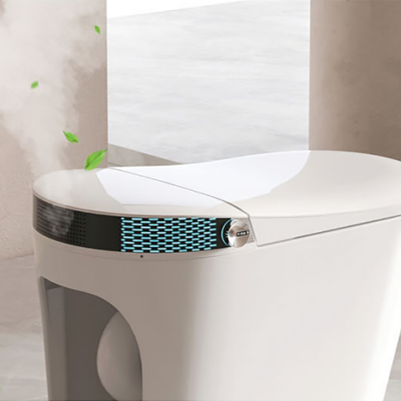Samrt Toilet  Toilet  Smart Toilet with Warm Water Sprayer and Dryer One Piece Bidet Toilet  (4)