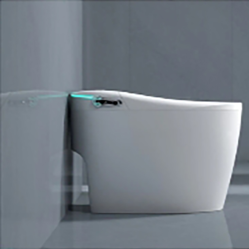 Samrt Toilet  Toilet  Smart Toilet with Warm Water Sprayer and Dryer One Piece Bidet Toilet (4)