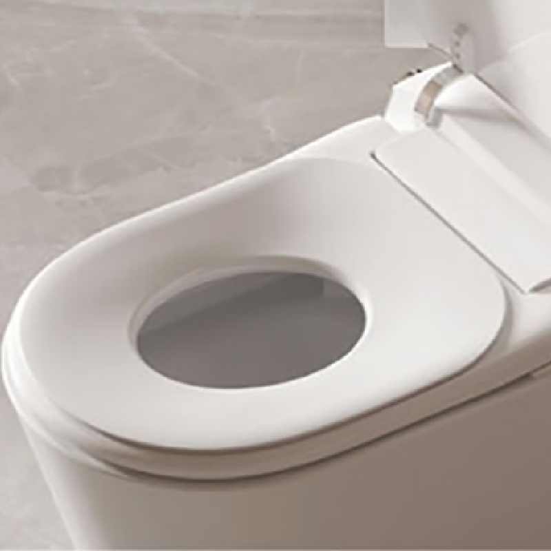 Samrt Toilet  Toilet  Smart Toilet with Warm Water Sprayer and Dryer One Piece Bidet Toilet  (5)