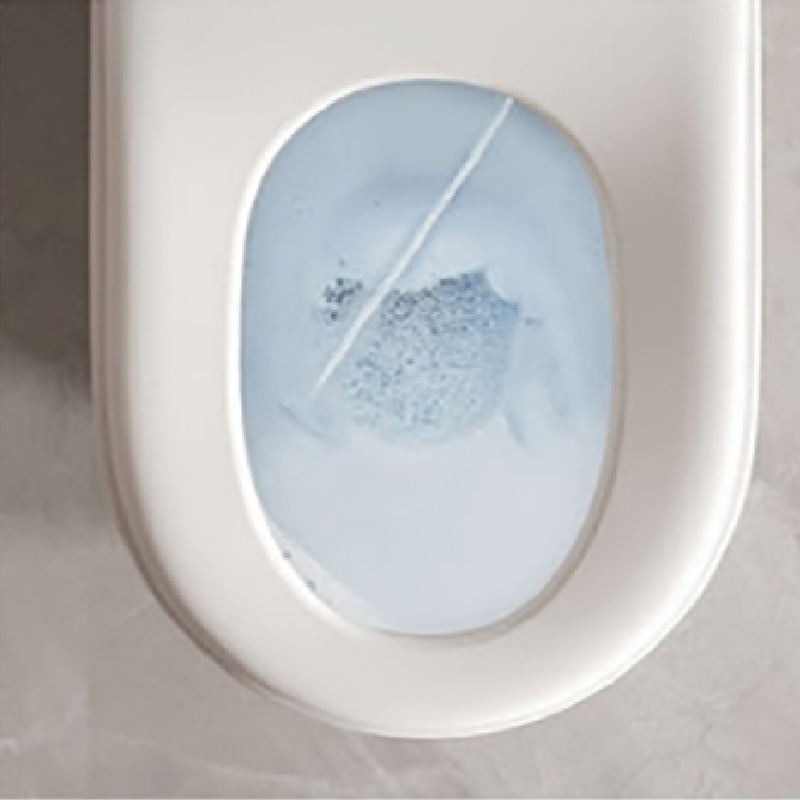 Samrt Toilet  Toilet  Smart Toilet with Warm Water Sprayer and Dryer One Piece Bidet Toilet  (6)