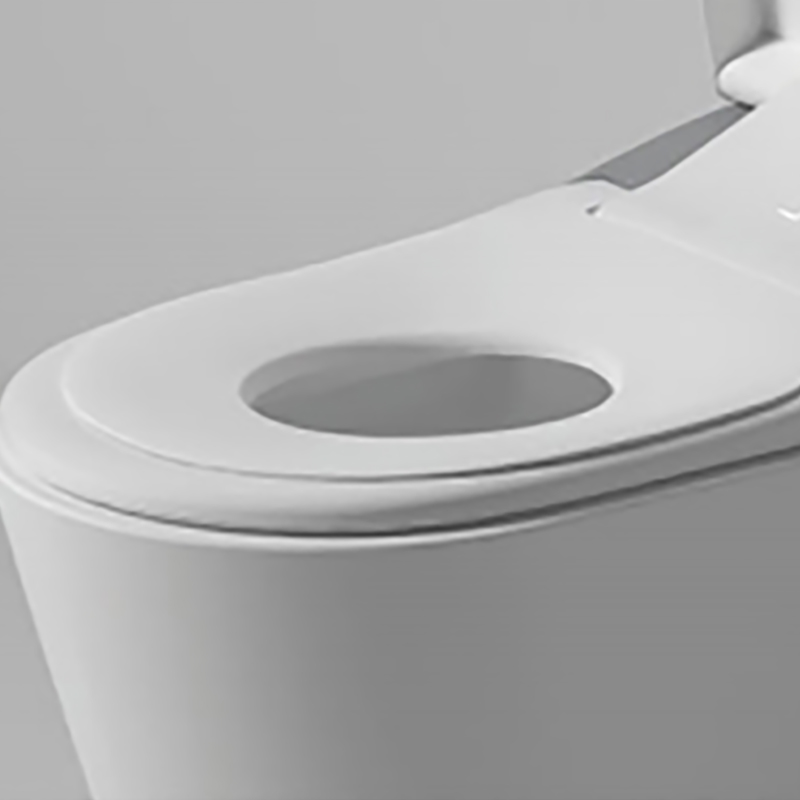 Samrt Toilet  Toilet  Smart Toilet with Warm Water Sprayer and Dryer One Piece Bidet Toilet (7)