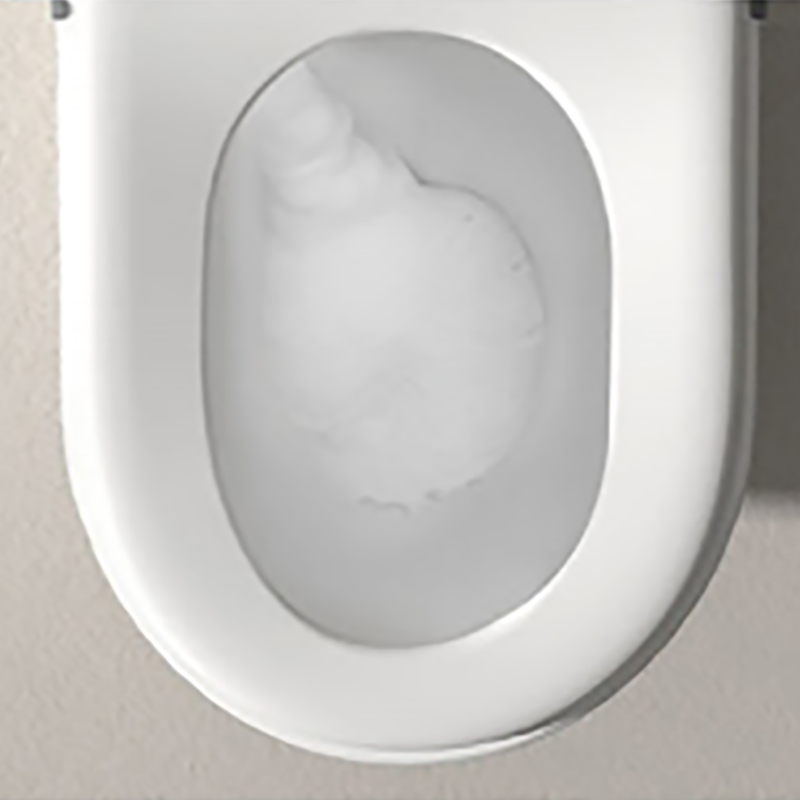 Samrt Toilet  Toilet  Smart Toilet with Warm Water Sprayer and Dryer One Piece Bidet Toilet (8)