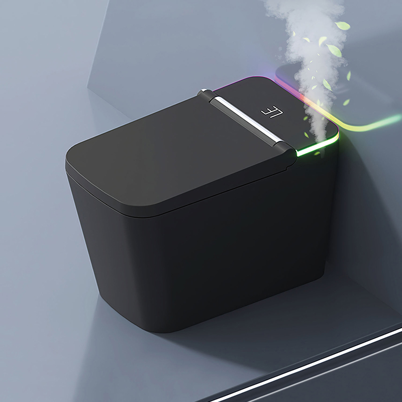 Samrt Toilet  Toilet  Smart Toilet with Warm Water Sprayer and Dryer One Piece Bidet Toilet  Heated Seat Smart with Built In LED Display (1)