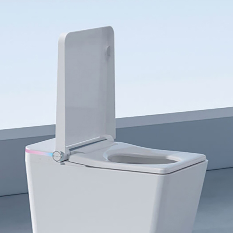 Samrt Toilet  Toilet  Smart Toilet with Warm Water Sprayer and Dryer One Piece Bidet Toilet  Heated Seat Smart with Built In LED Display (6)